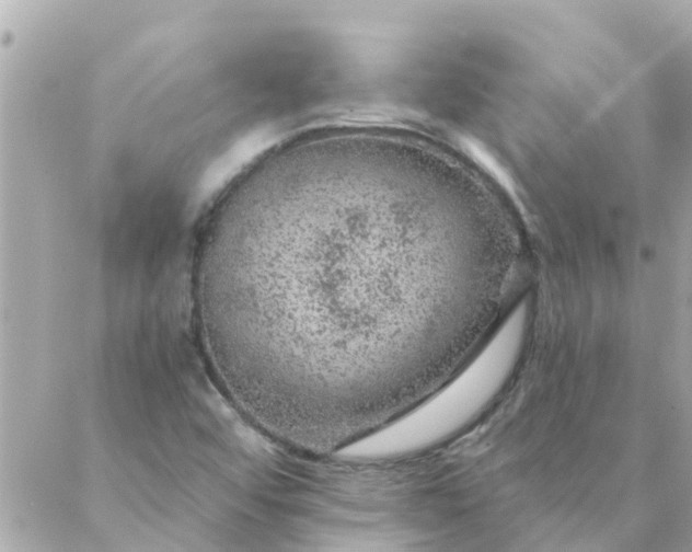 X0000087381456200705041933