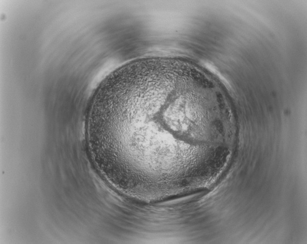 X0000087381459200705041933