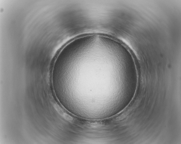 X0000087381460200705041933