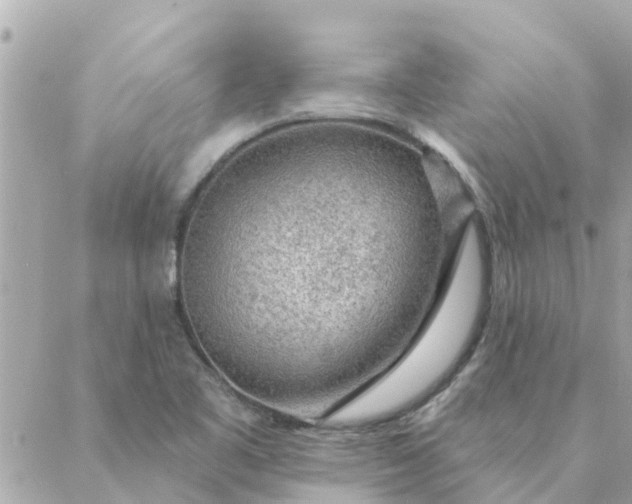 X0000087381461200705041933