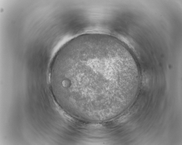 X0000087381462200705041933