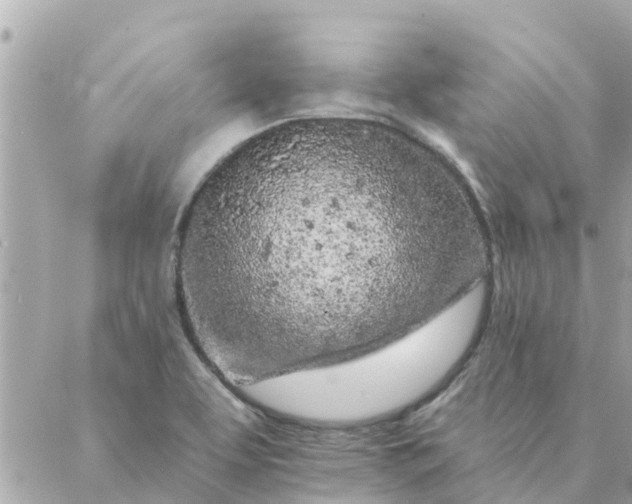 X0000087381463200705041933