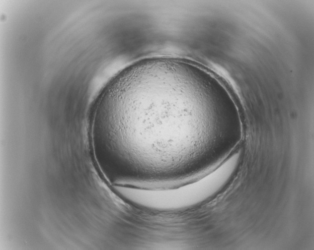 X0000087381464200705041933