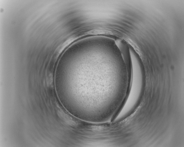 X0000087381465200705041933