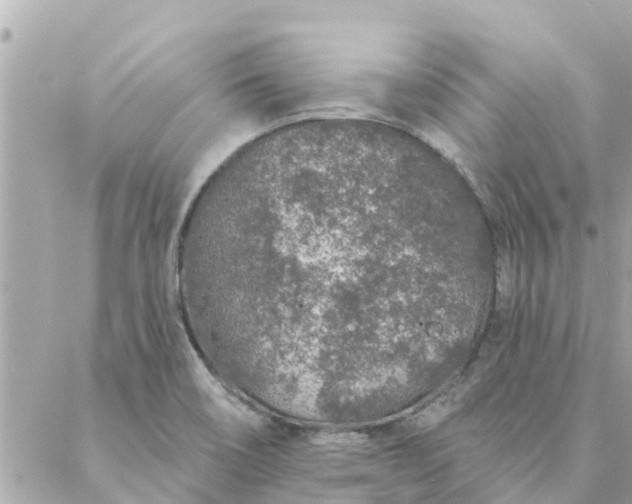 X0000087381466200705041933