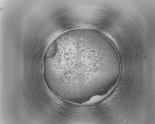 X0000087381467200705041933