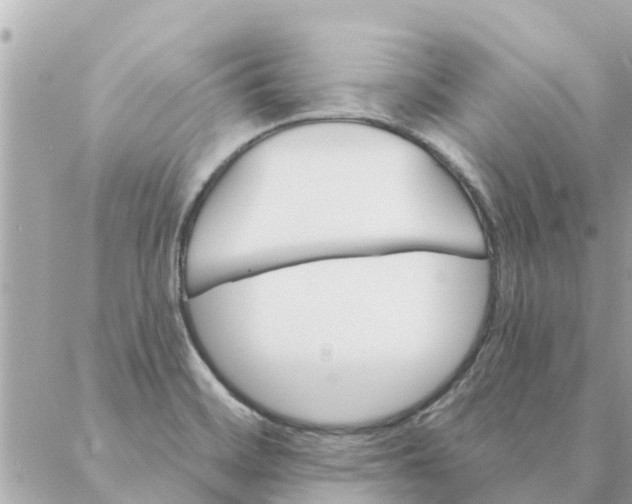 X0000087381468200705041933