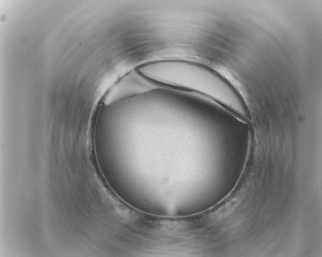 X0000087381469200705041933