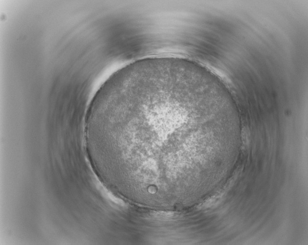 X0000087381470200705041933