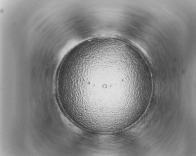 X0000087381471200705041933