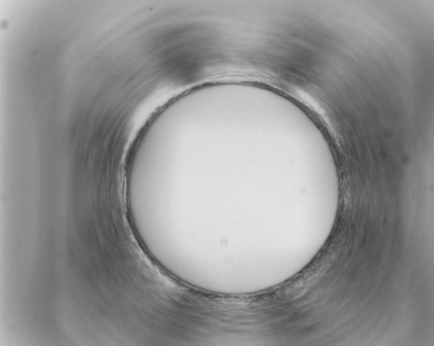 X0000087381472200705041933