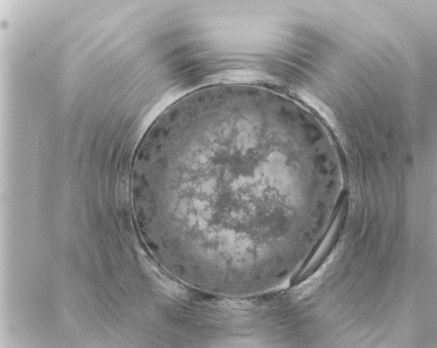 X0000087381473200705041933