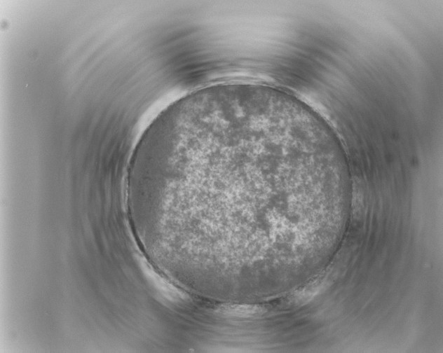 X0000087381474200705041933