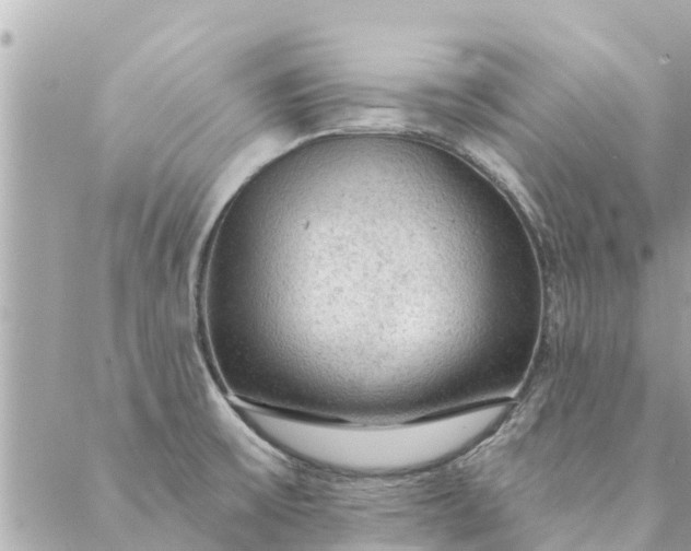 X0000087381475200705041933