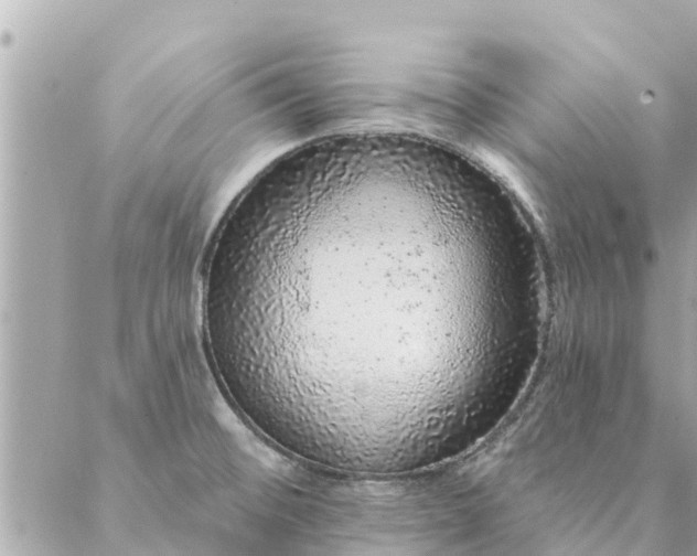 X0000087381476200705041933