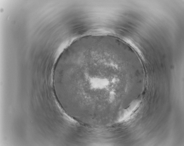 X0000087381477200705041933