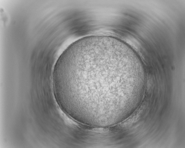 X0000087381478200705041933