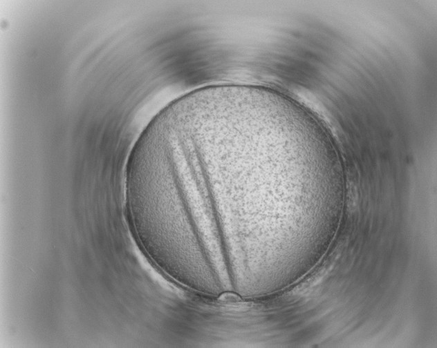 X0000087381479200705041933