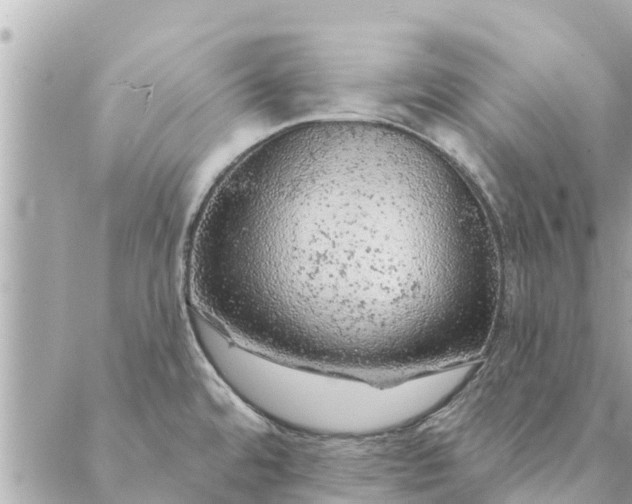 X0000087381480200705041933