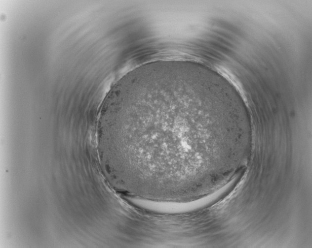 X0000087381481200705041933