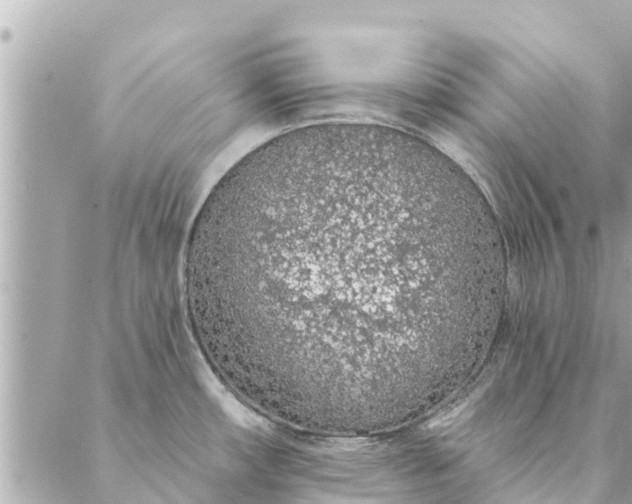 X0000087381482200705041933