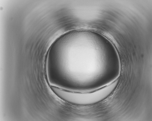 X0000087381483200705041933