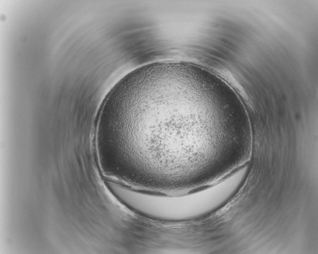 X0000087381484200705041933