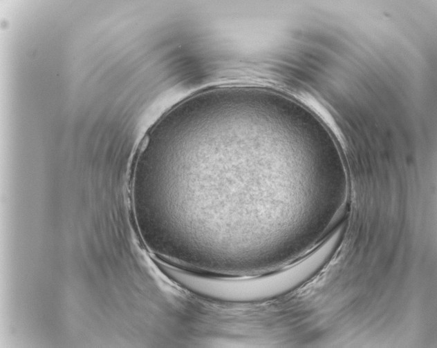 X0000087381485200705041933