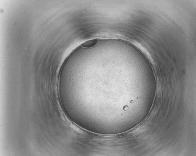 X0000087381486200705041933