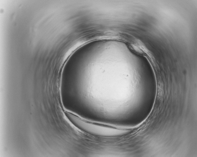 X0000087381487200705041933