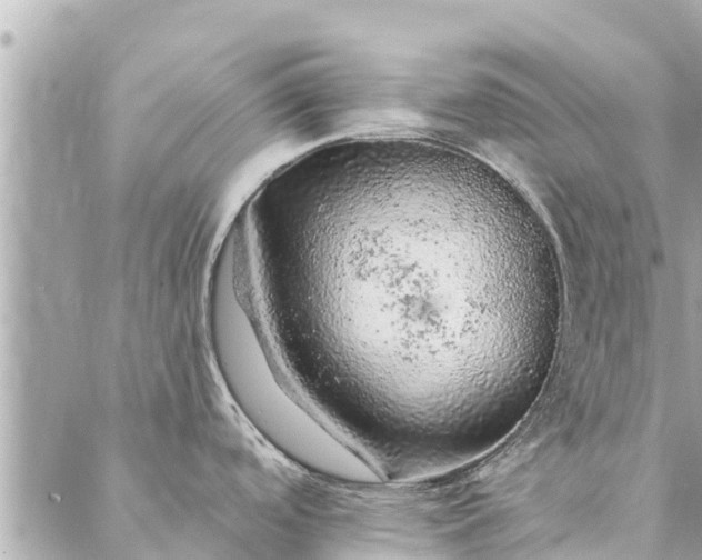 X0000087381488200705041933