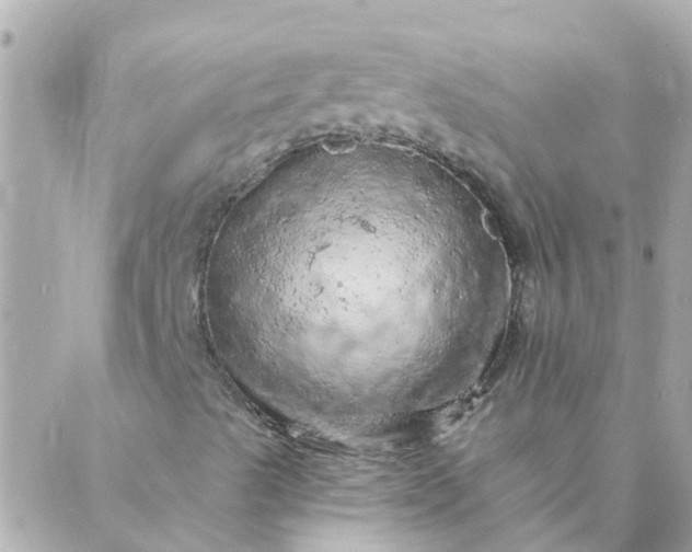 X0000087381489200705041932