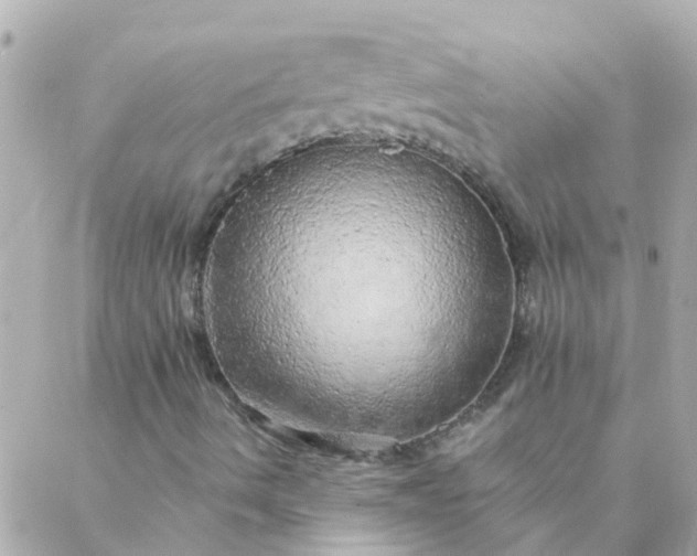 X0000087381490200705041932