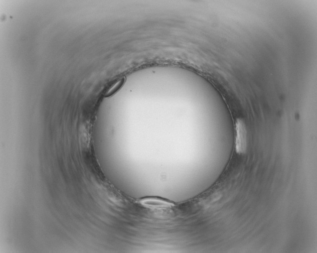 X0000087381491200705041932