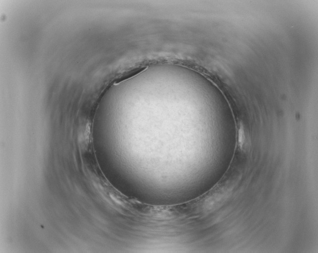 X0000087381492200705041932