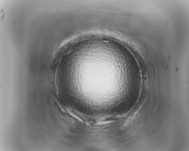 X0000087381494200705041932