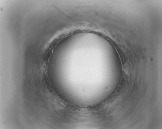 X0000087381495200705041932