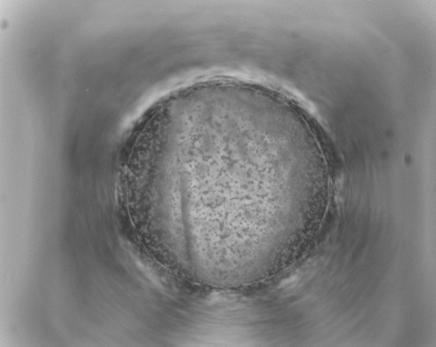 X0000087381496200705041932