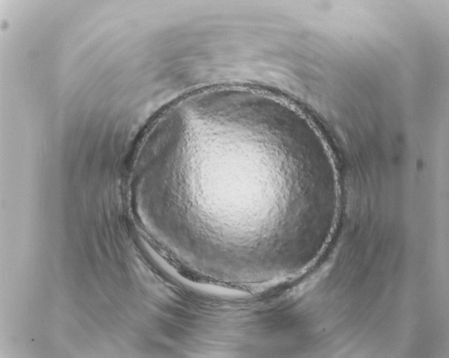 X0000087381497200705041932