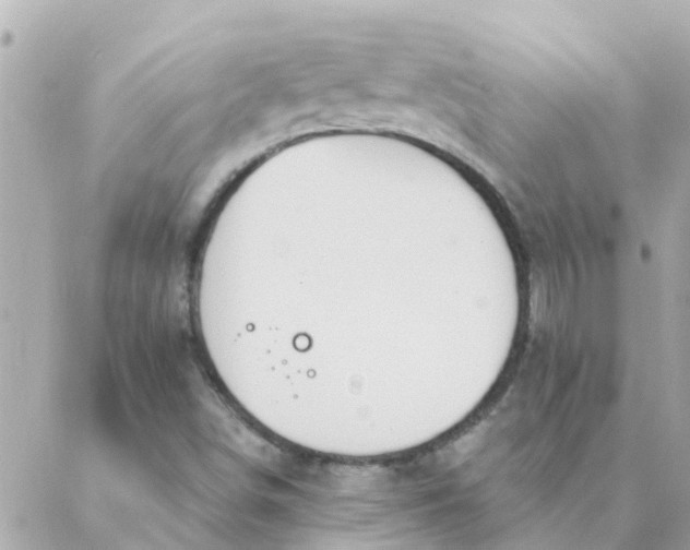 X0000087381498200705041932