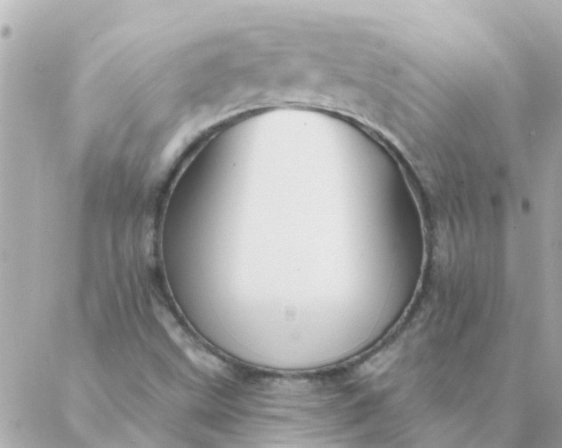 X0000087381499200705041932