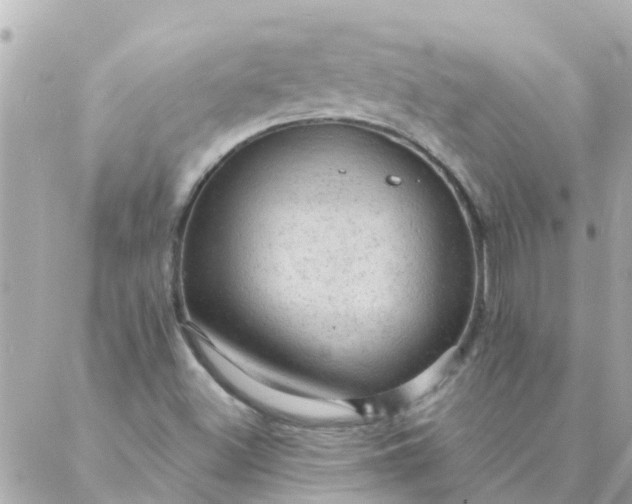 X0000087381500200705041932