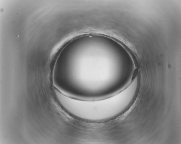 X0000087381502200705041932