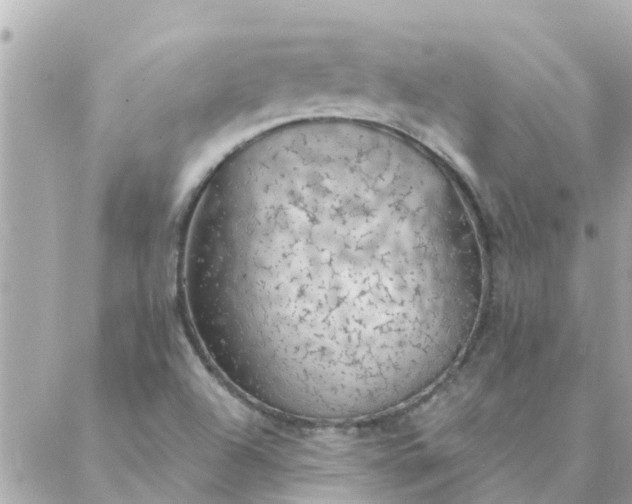 X0000087381504200705041932