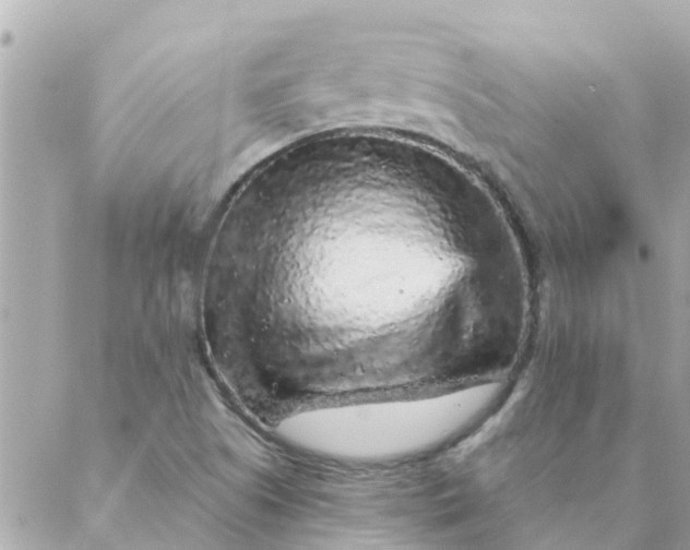 X0000087381505200705041932