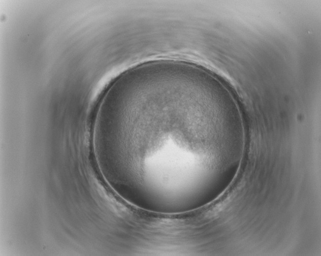 X0000087381506200705041932