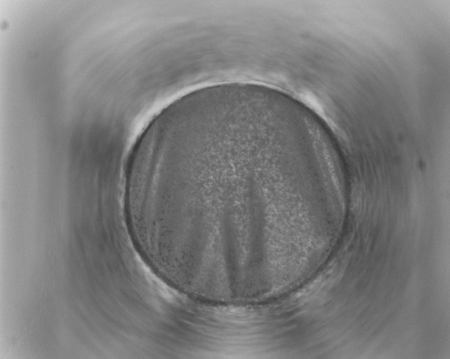 X0000087381508200705041932