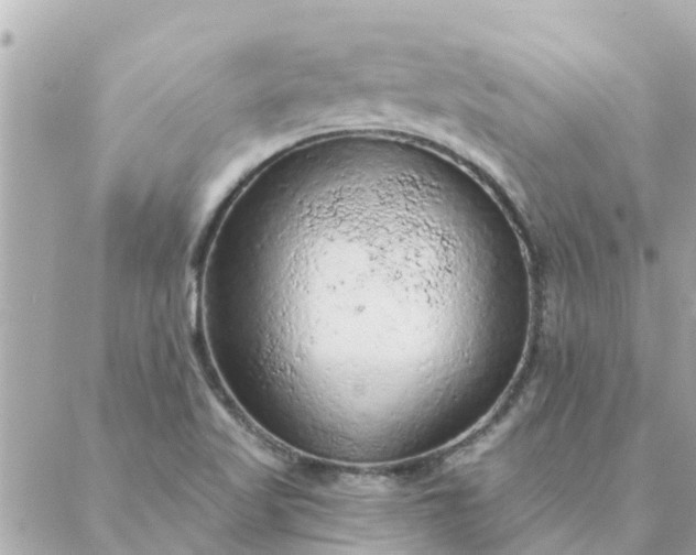 X0000087381509200705041932