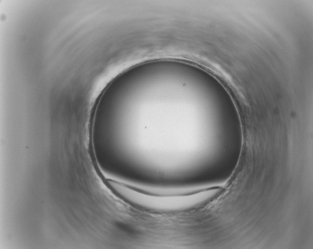 X0000087381512200705041932