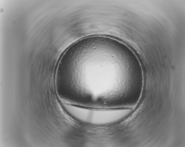 X0000087381513200705041932